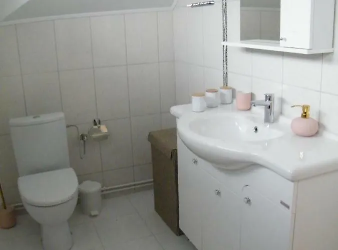 Iarca Case de vacanță *